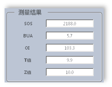 骨密度测定结果