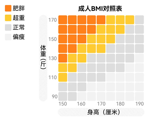 成人BMI