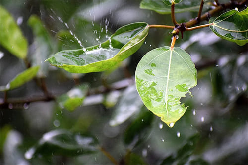 雷雨天气